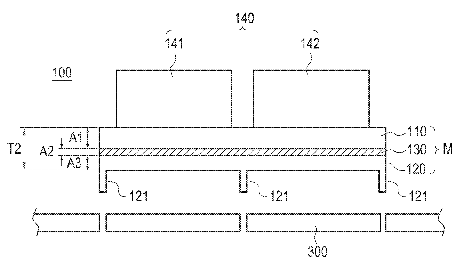 Portable terminal and method of manufacturing a module thereof