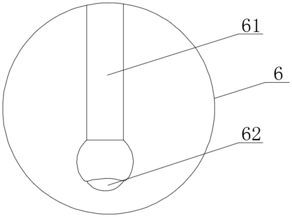 Mycelium powder and production process thereof