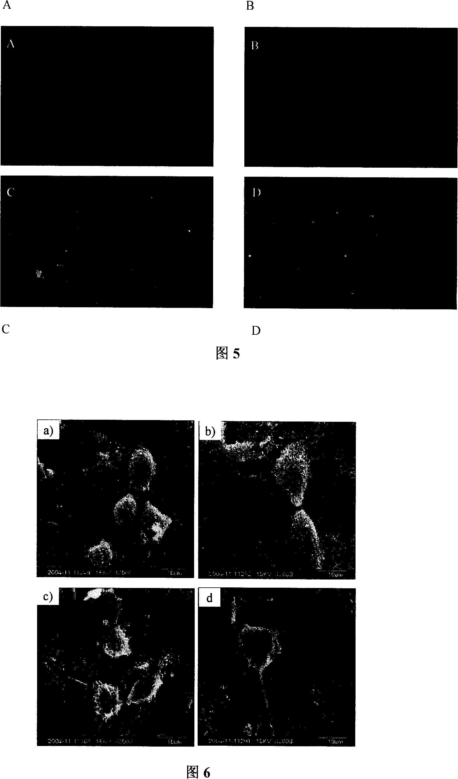 Construction method for tissue engineering liver unit and tissue engineering liver unit