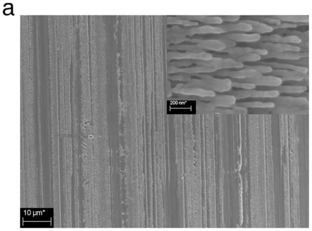 Copper-based surface-enhanced Raman scattering substrate as well as preparation method and application thereof