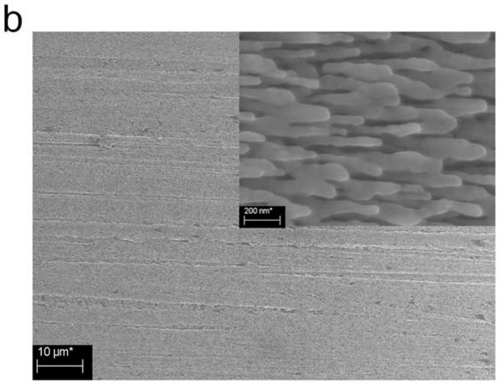 Copper-based surface-enhanced Raman scattering substrate as well as preparation method and application thereof