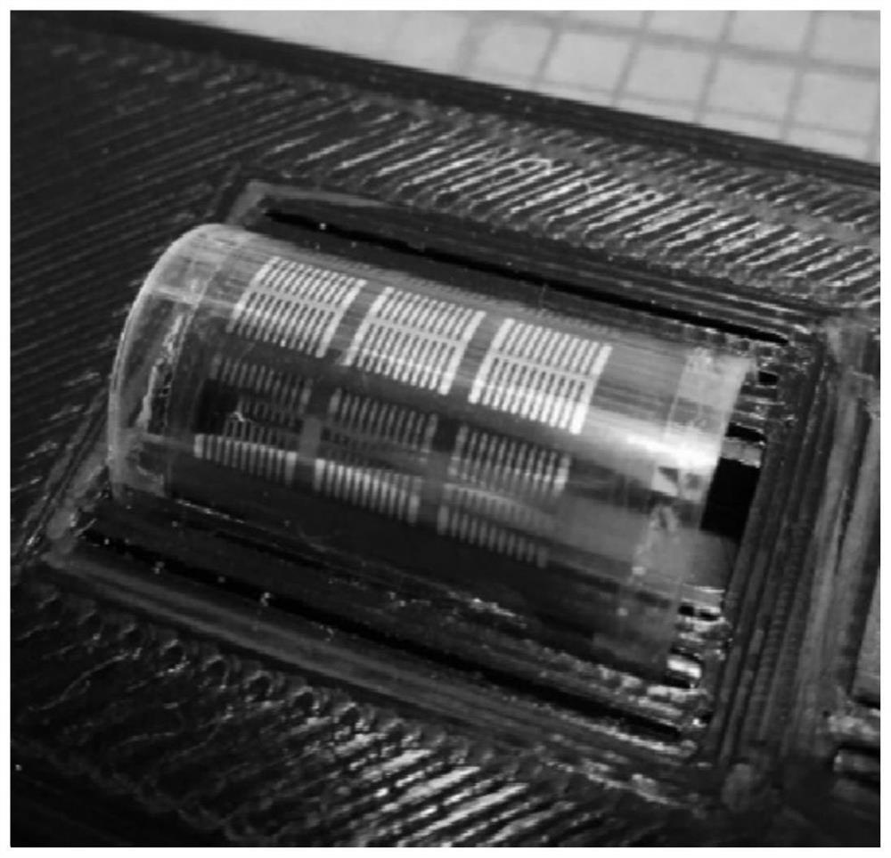 Preparation method of flexible photoelectric detector array