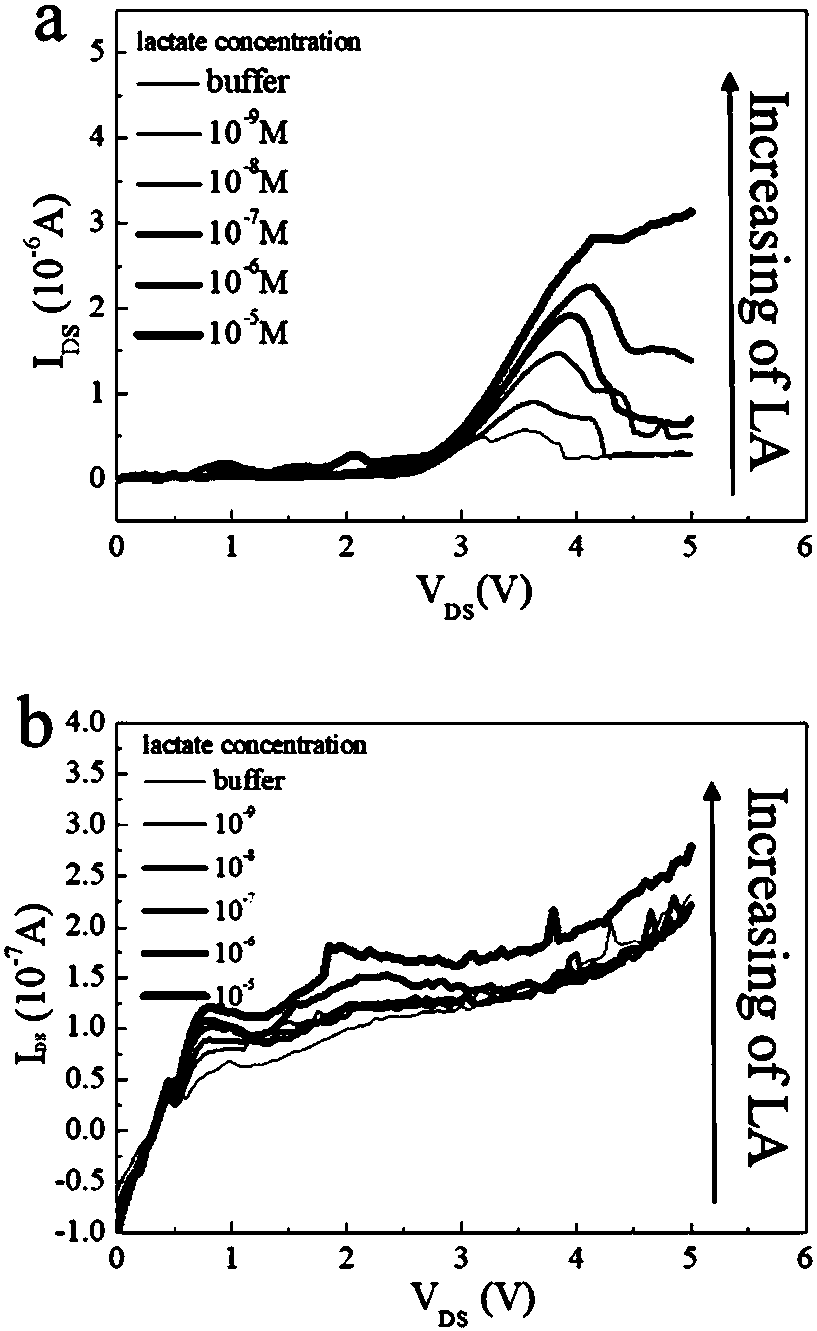 Method for control and in-situ detection of enzymatic activity under irradiation of electronic beams