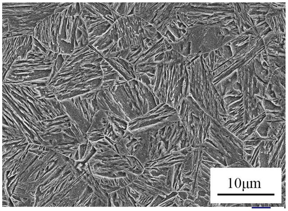 Corrosion-resistant wear-resistant steel plate and preparation method thereof