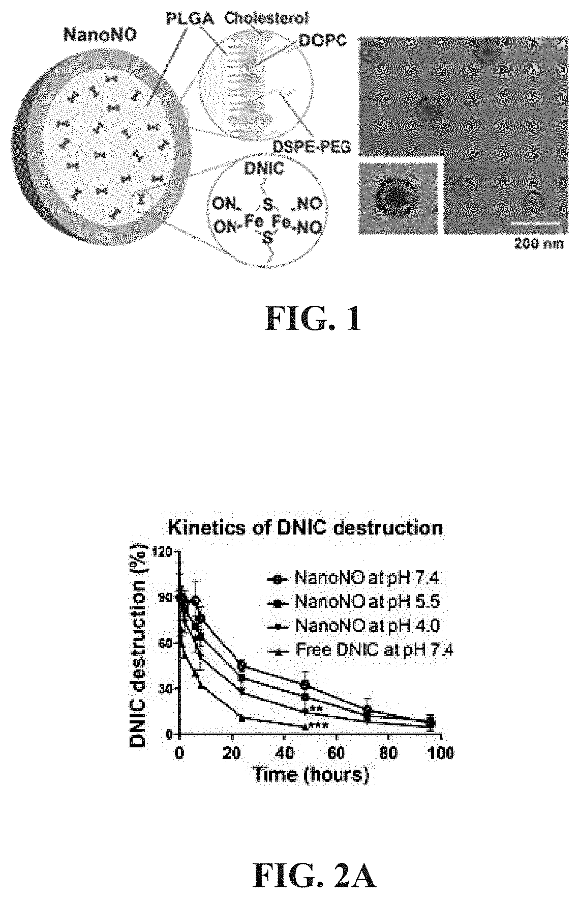 Nanoparticle, preparation process and uses thereof