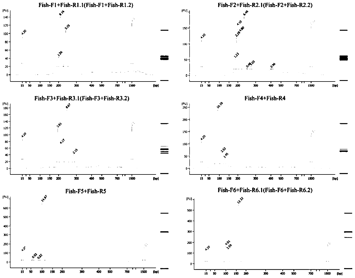 Universal metabarcoding amplification primers for freshwater fish mitochondria 12S and application method thereof