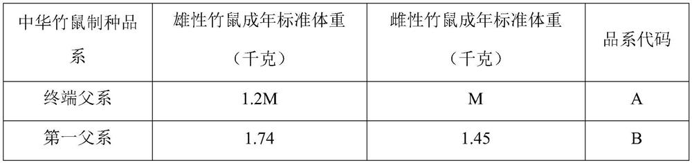 Cultivation method of three-line commercial bamboo rat of Chinese bamboo rat