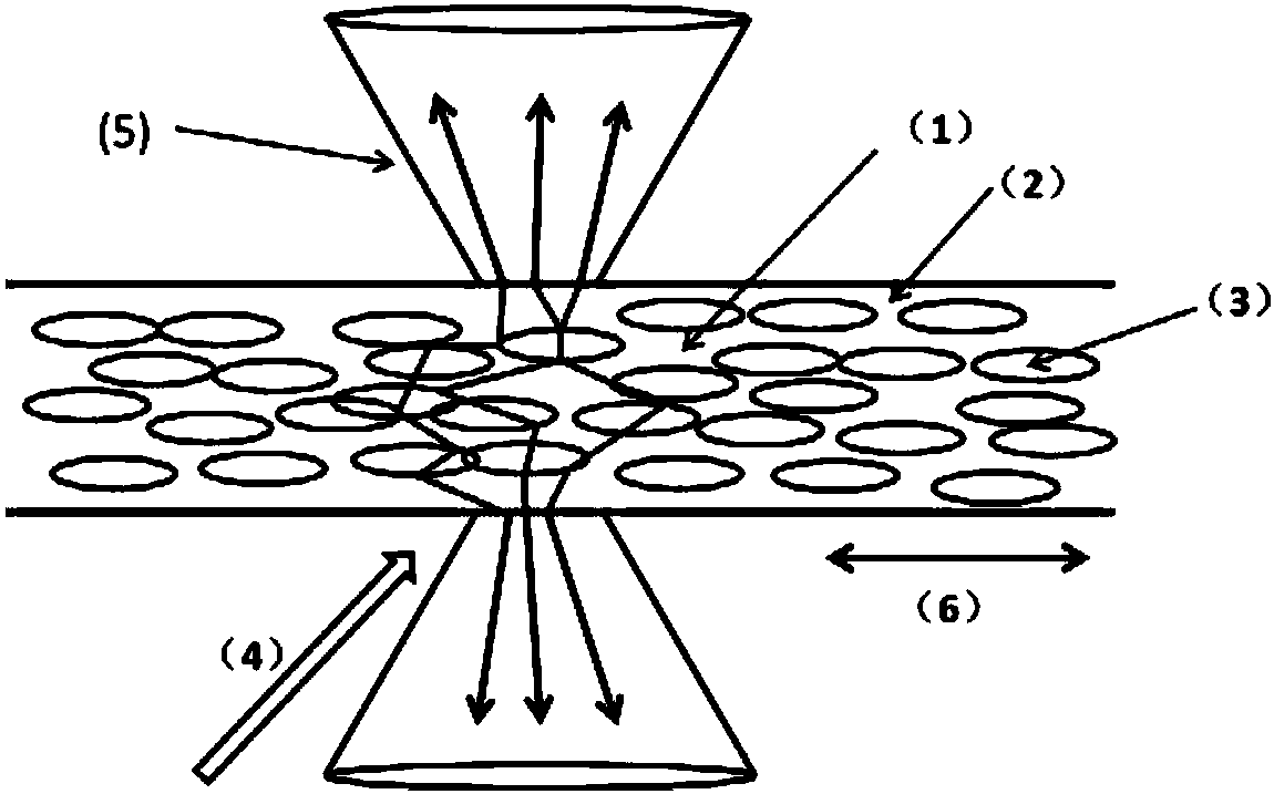 A flexible thin-film random laser with adjustable polarization degree and its preparation method