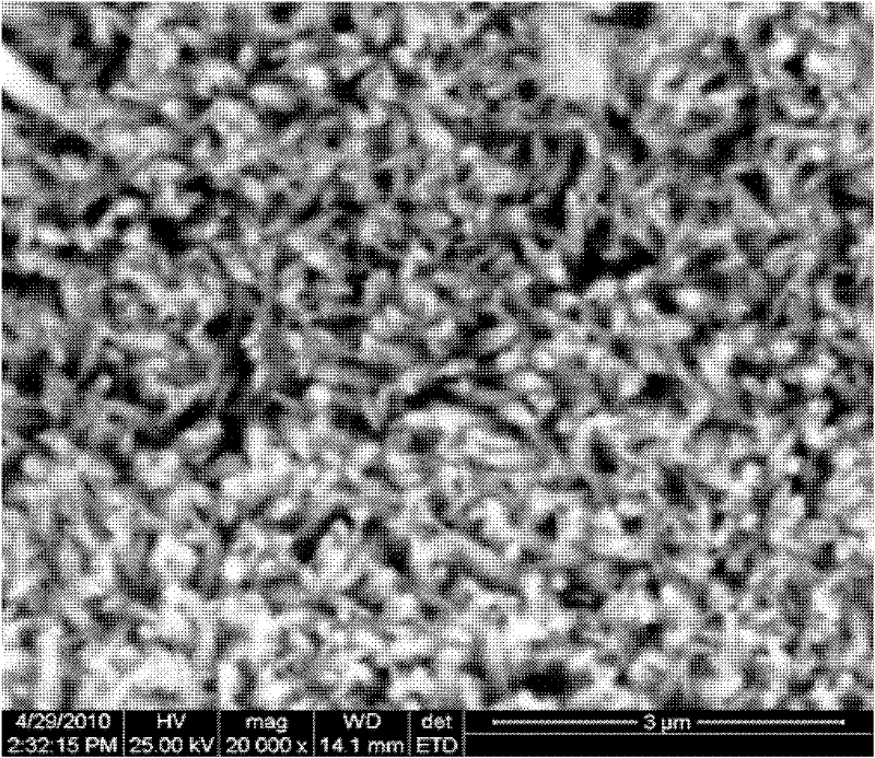 Method of electrochemically measuring permanganate index by virtue of stannic oxide nanometer electrode