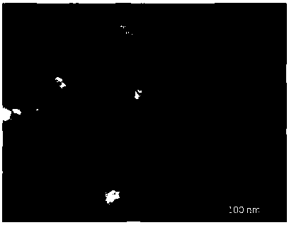 Preparation method of lithium iron phosphate positive electrode material precursor