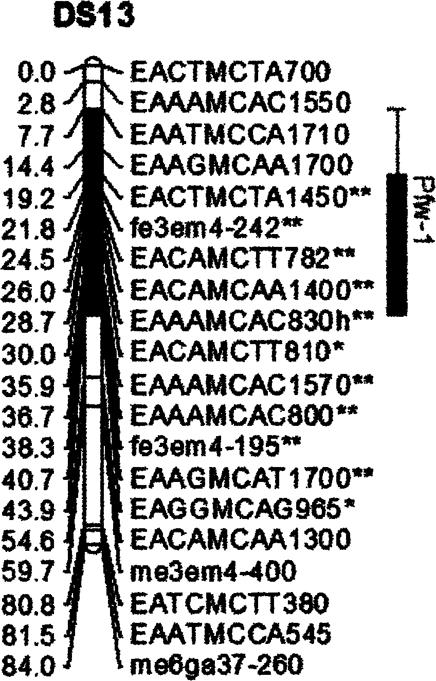 Molecular marker for single fruit weight main-effect quantitative trait loci (QTL) of Dangshansu pear fruit and application thereof