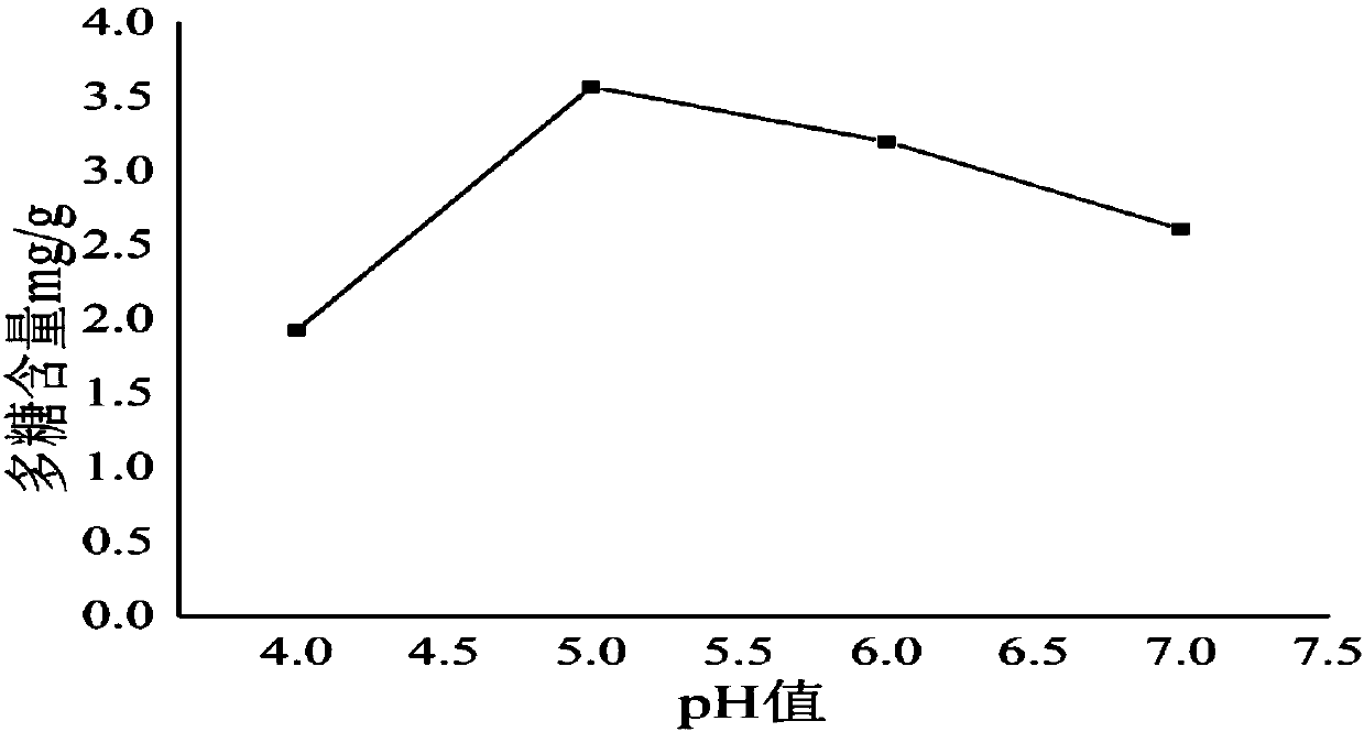 Ginkgo fruit and ganoderma lucidum concentrated solution and preparation method thereof