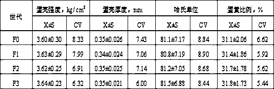 Cultivation method of yellow feathered high-laying chicken strain