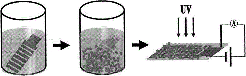 Zno quantum dot based deep ultraviolet sensor and preparation method