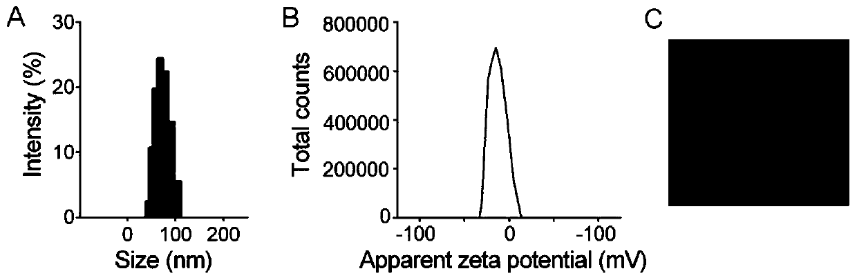 Influenza virosome coated bionic nano vaccine and preparation method thereof