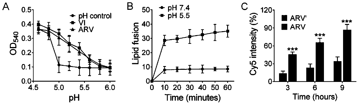 Influenza virosome coated bionic nano vaccine and preparation method thereof