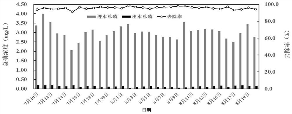 Efficient sludge reflux enhanced magnetic coagulation system and precipitation method thereof