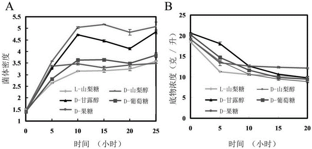 Cultivation method of ketogulonigenium sp