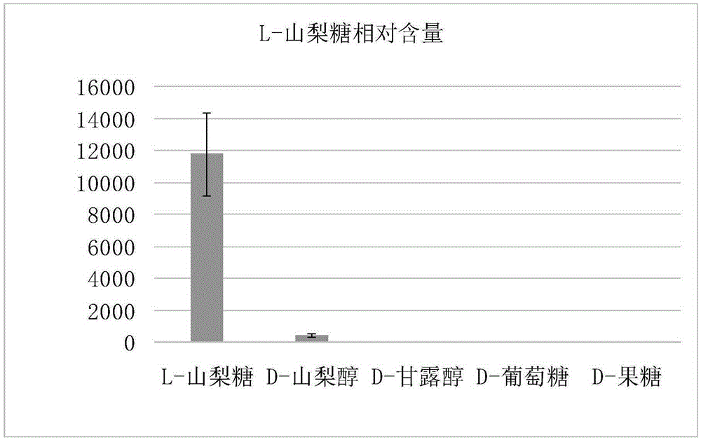 Cultivation method of ketogulonigenium sp