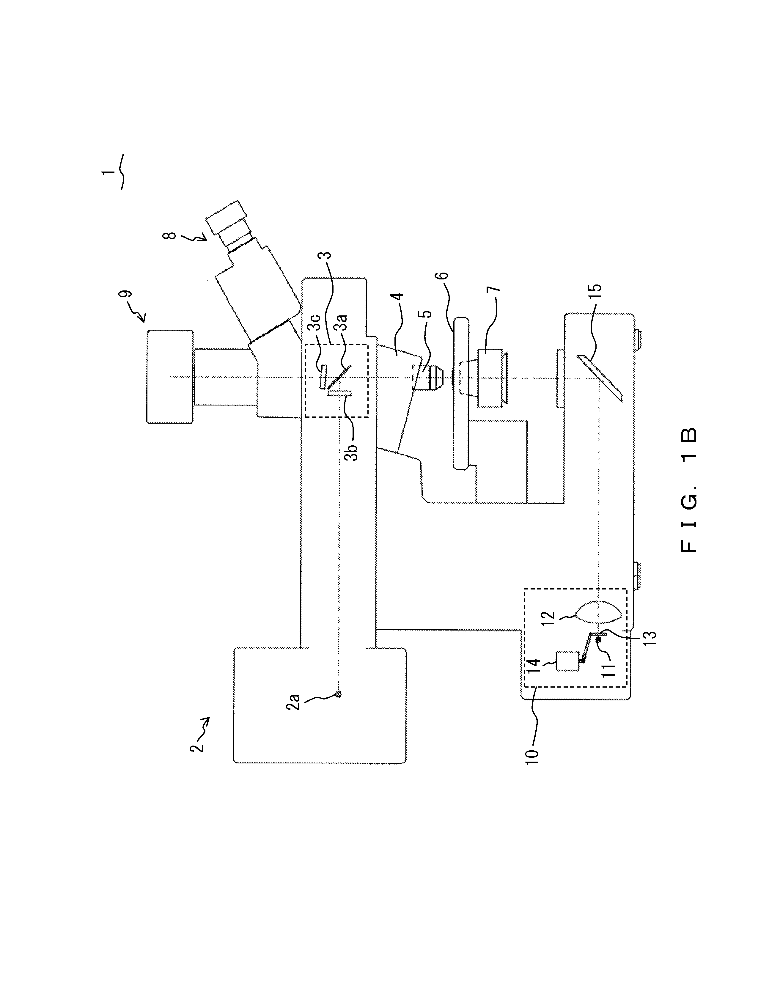 Microscope and microscope light source unit