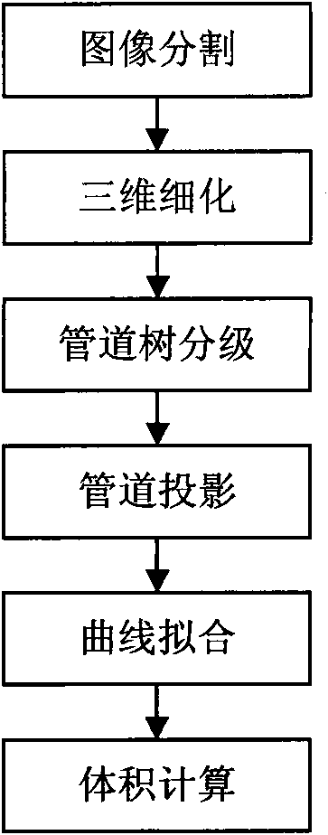 Hepatic segment volume measuring method based on CT reinforcing scan technique