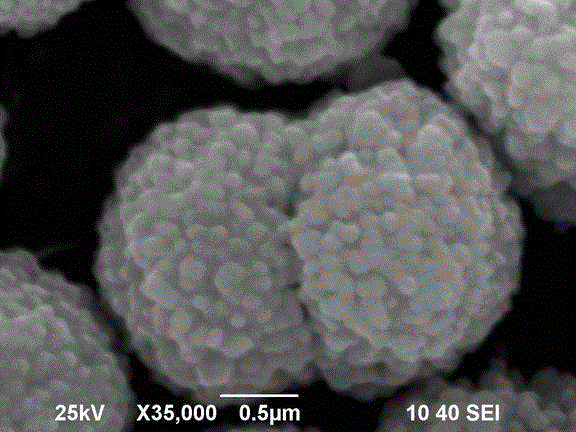 Biomimetic synthesis method of bismuth vanadate visible-light photocatalyst having hierarchical structure