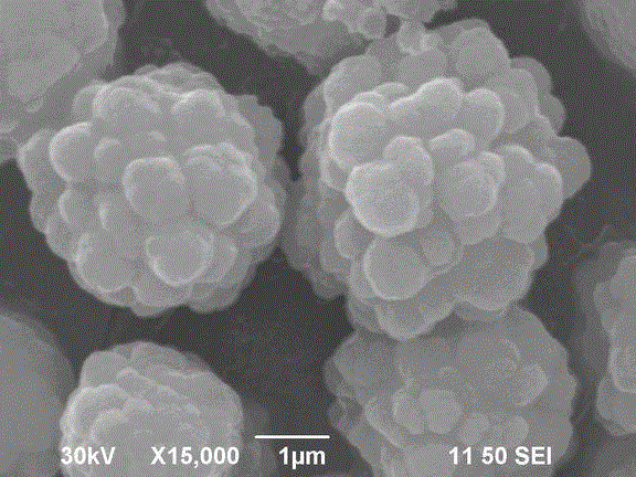 Biomimetic synthesis method of bismuth vanadate visible-light photocatalyst having hierarchical structure