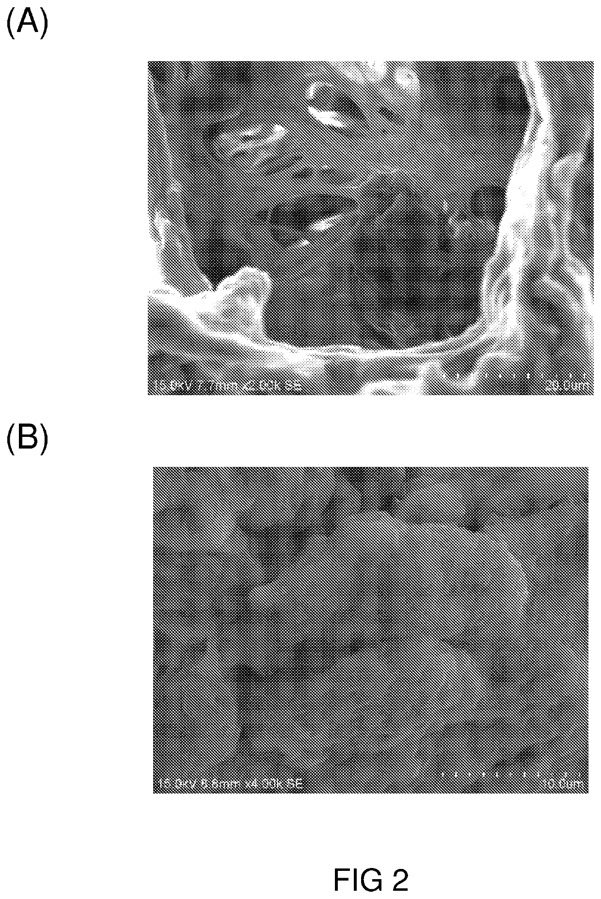 Preparation of high purity collagen particles and uses thereof