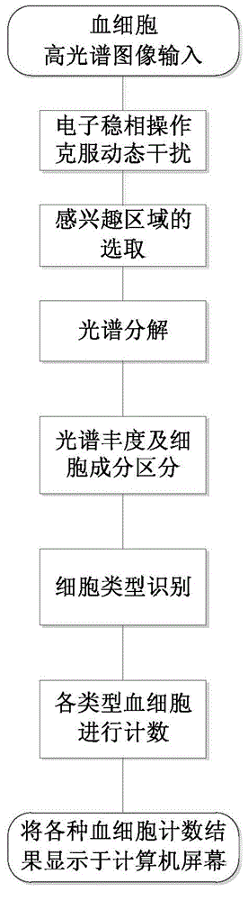 Automatic blood cell recognition device and operating method thereof