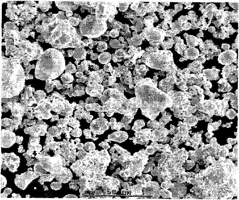 Method for preparing gradient-structure copper radiating rib for electronic element