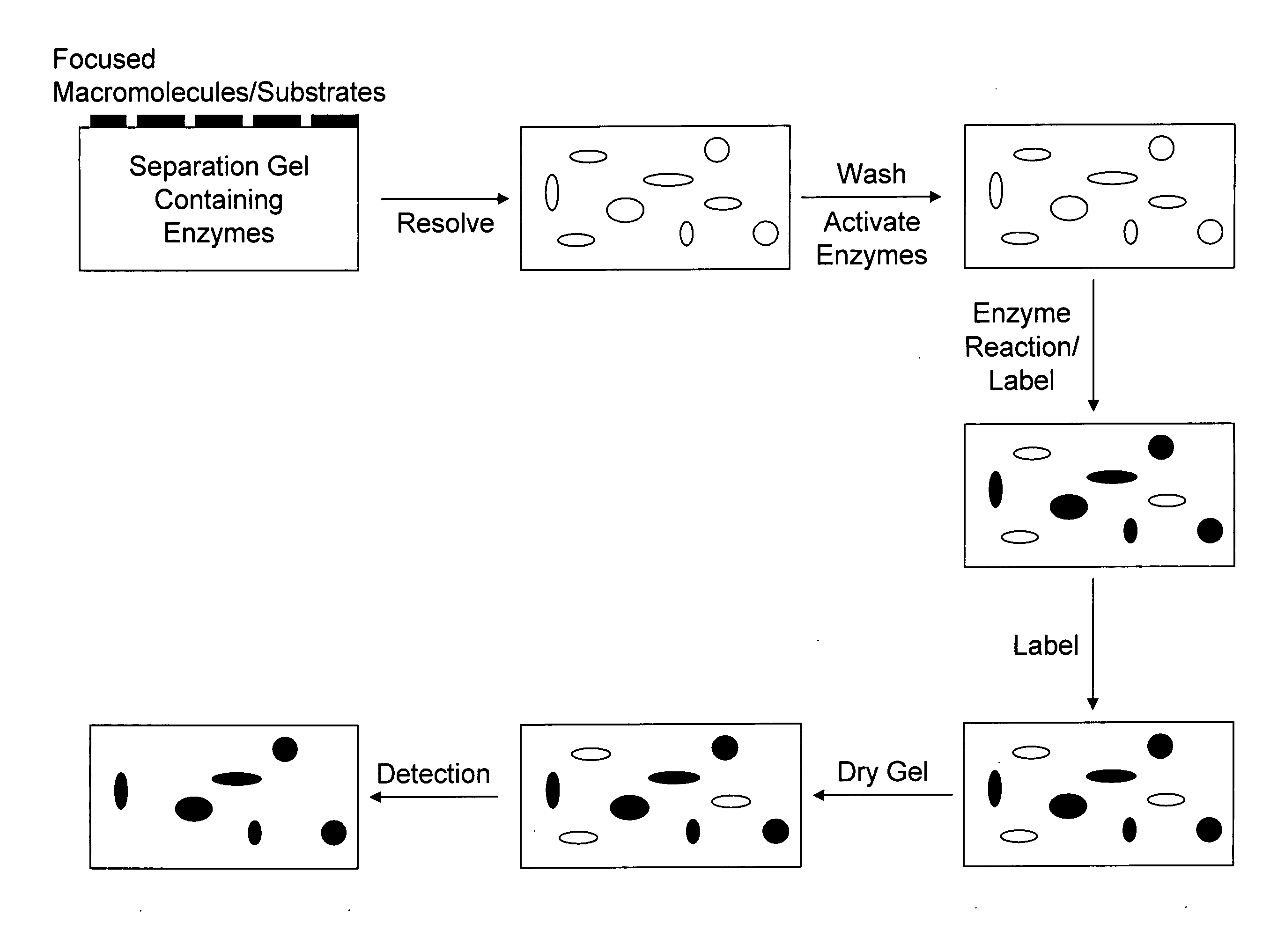 Devices and methods for profiling enzyme substrates