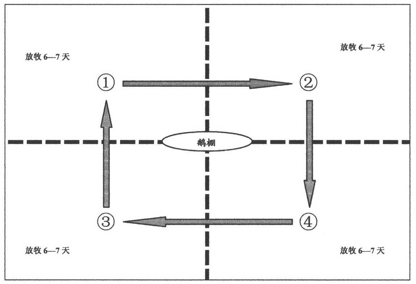 Three-dimensional circulation planting and culturing method of vineyard with multispan greenhouse