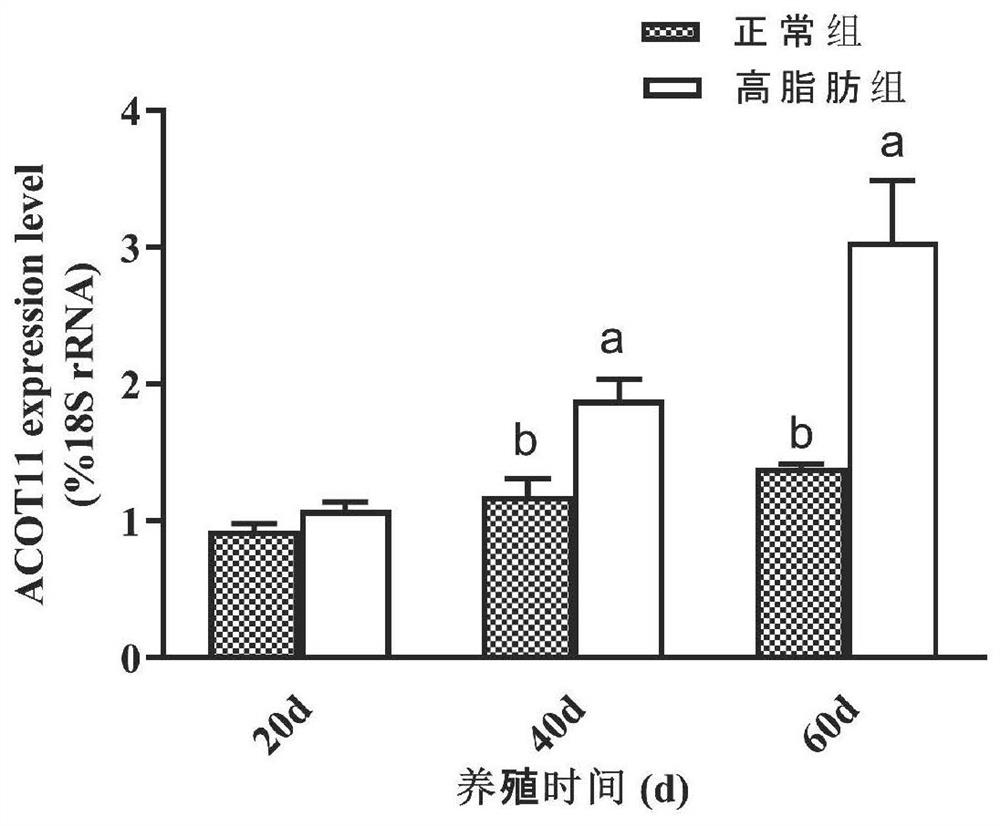 A kit for identifying the degree of fatty liver in yellow catfish and its identification method