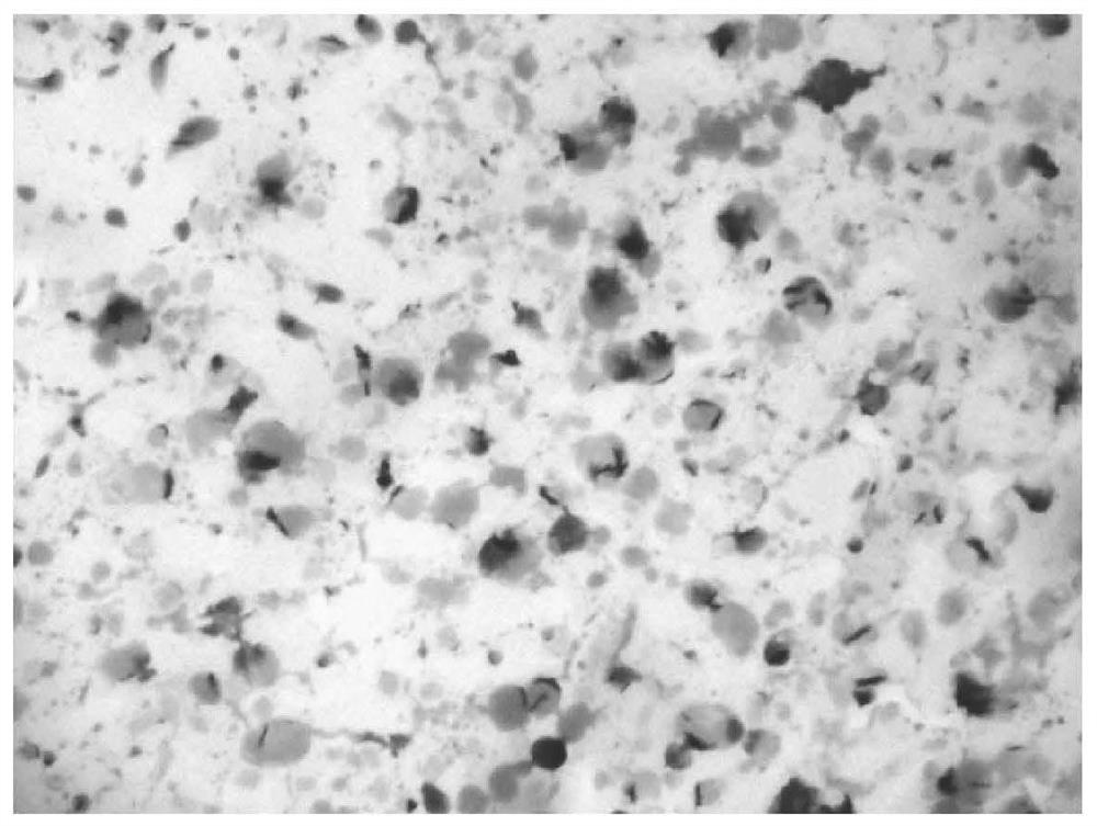 A kit for identifying the degree of fatty liver in yellow catfish and its identification method