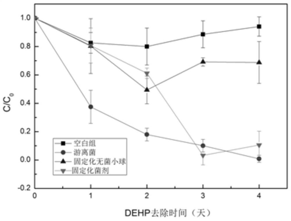 A kind of phthalate and/or antibiotic pollution microbial remediation preparation and its preparation and application