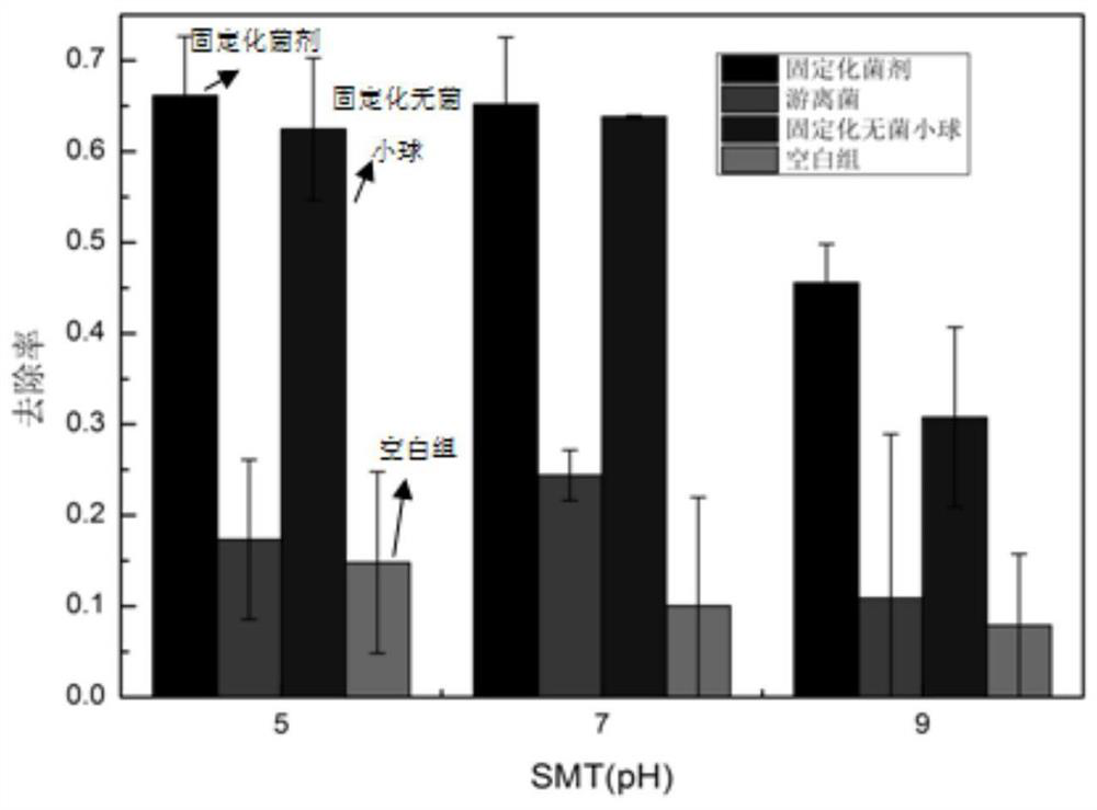 A kind of phthalate and/or antibiotic pollution microbial remediation preparation and its preparation and application