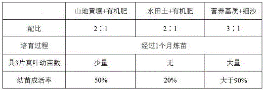 Artificial breeding method for rhododendron huadingense seedlings