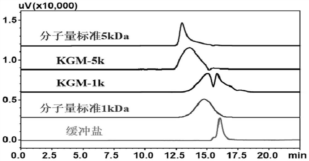 Application of konjac polysaccharide degradation products KGM-1k and KGM-5k in preparation of probiotic protective agent