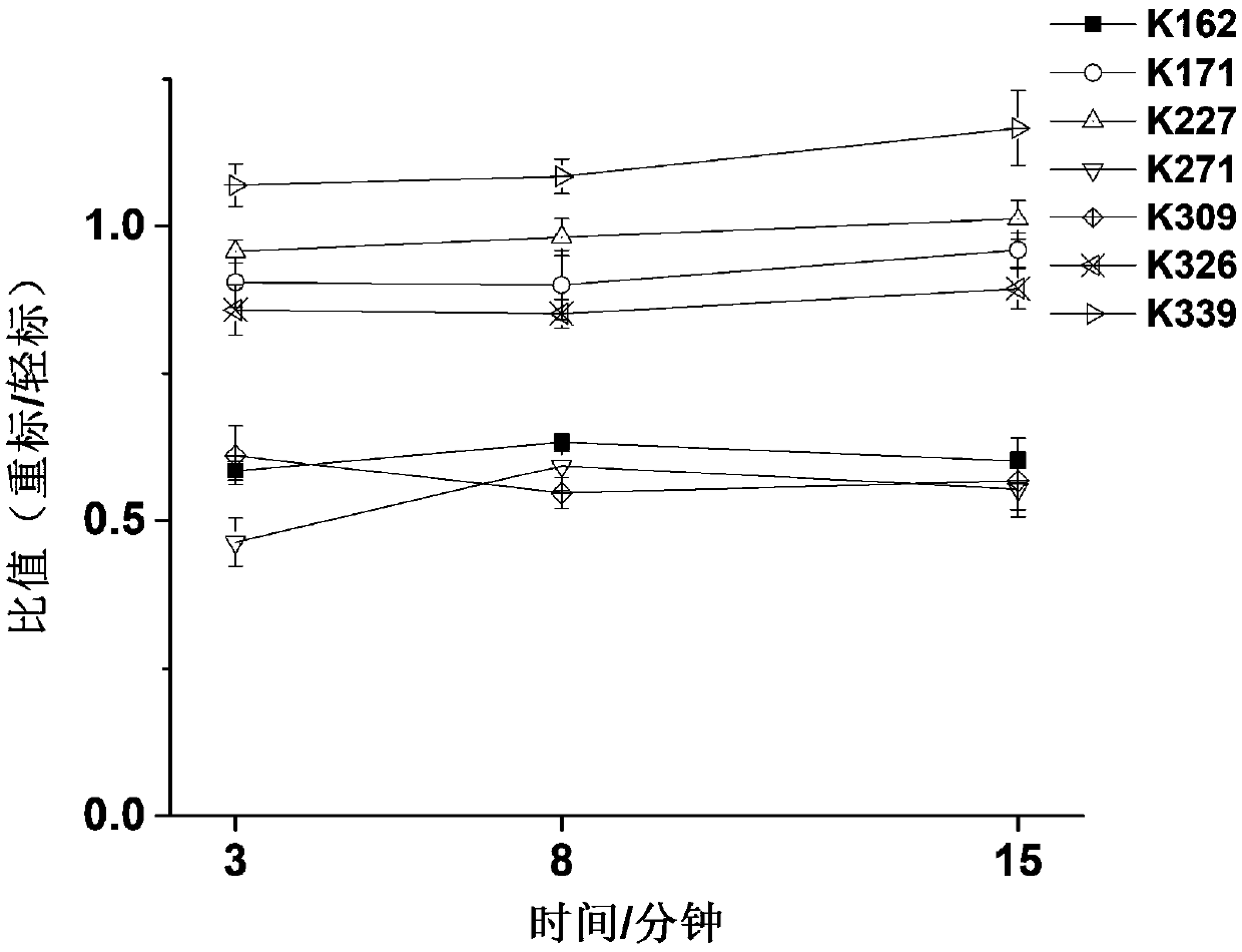 Method for quantitatively analyzing interaction between small molecule and protein kinase