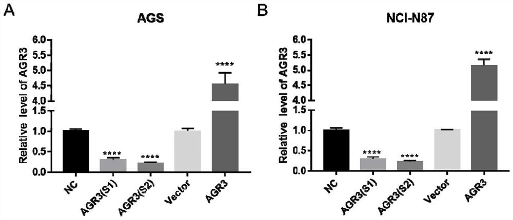 Gastric cancer tumor marker and application thereof