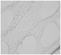 Method for modifying wood and bamboo wood through biopolymer-chitosan