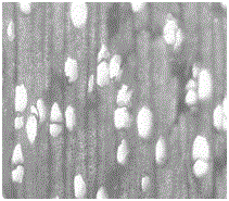 Method for modifying wood and bamboo wood through biopolymer-chitosan