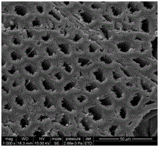 Method for modifying wood and bamboo wood through biopolymer-chitosan