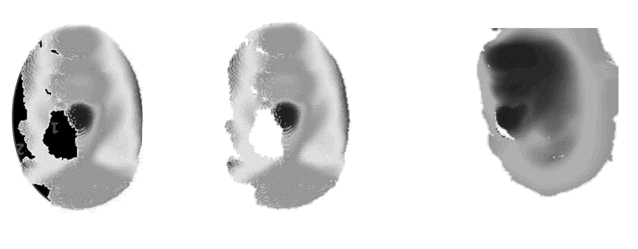 System and Method for Off Angle Three-Dimensional Face Standardization for Robust Performance