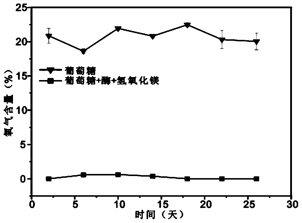 Photobiological hydrogen production system and preparation method and application thereof