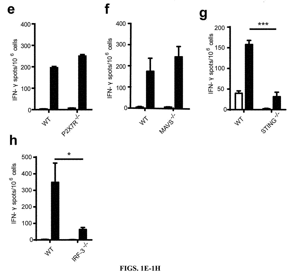 Use of sting agonist as cancer treatment