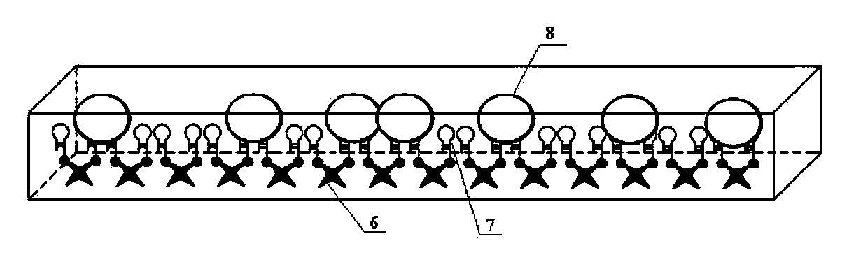 Device and method for capturing specificity of circulating cancer cells in peripheral blood