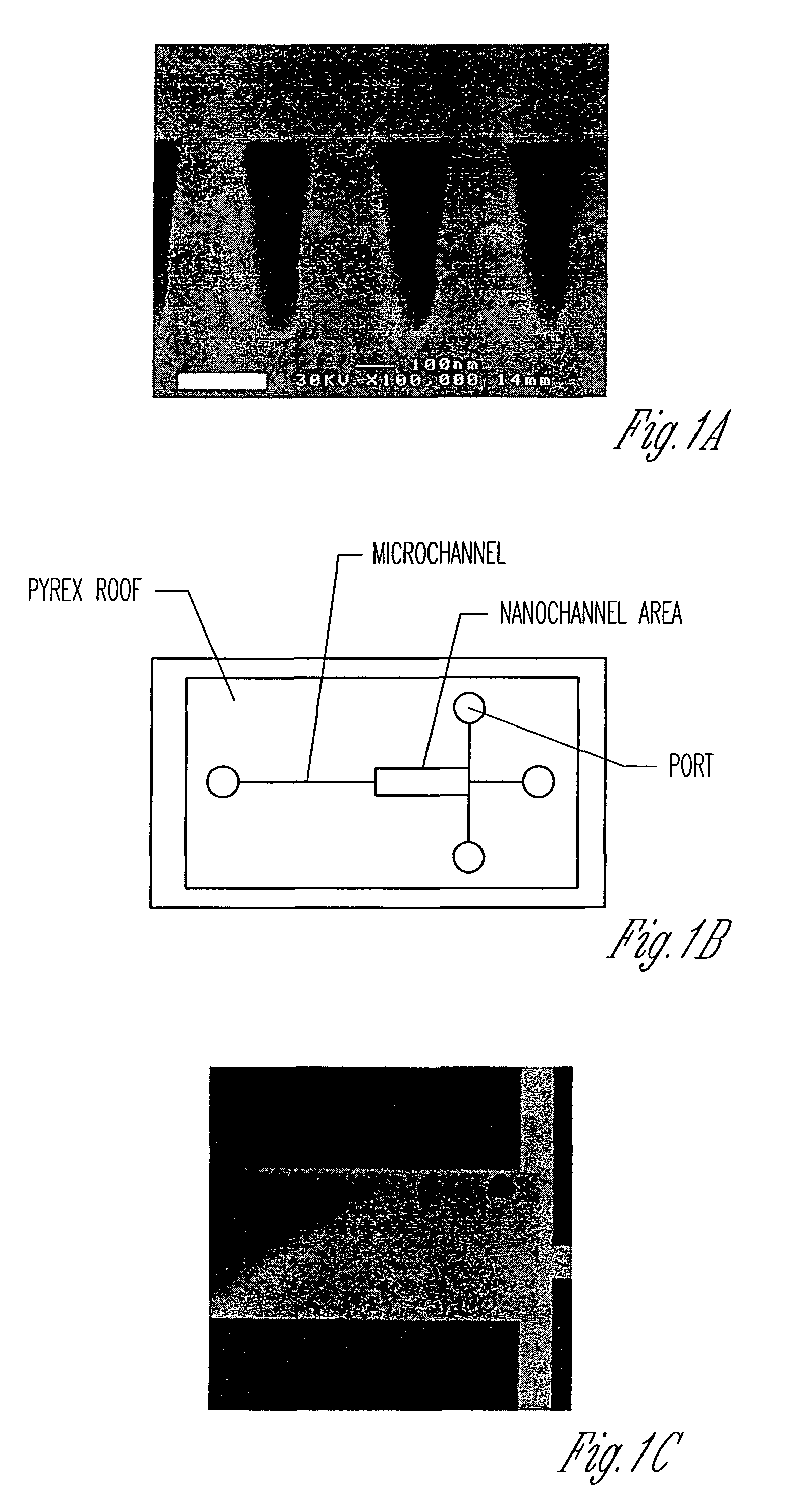 Nanofluidics for bioseparation and analysis