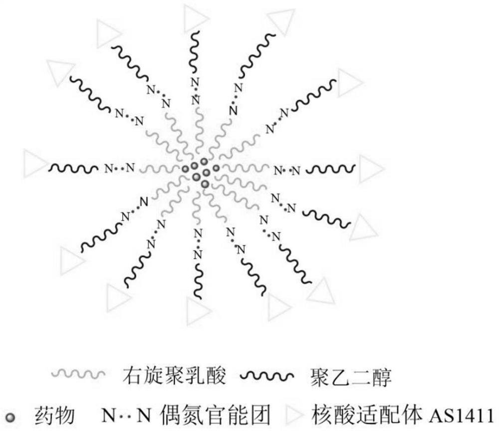 Hypoxia response chiral medicament micelle for targeting triple-negative breast cancer and preparation method of hypoxia response chiral medicament micelle