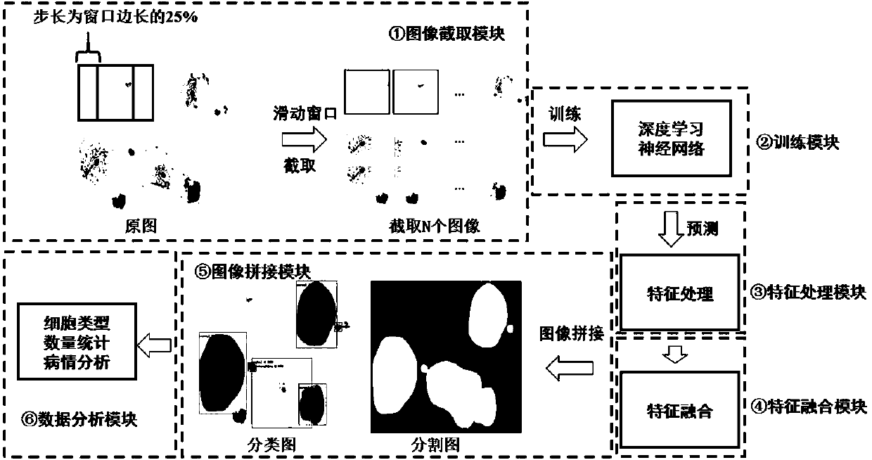 Cell detection segmentation system and method based on a deep learning neural network